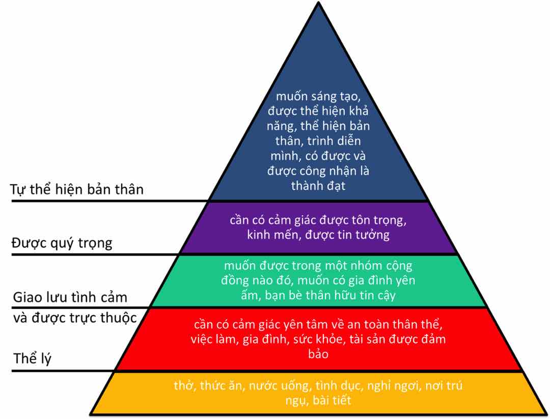 Tháp nhu cầu Maslow là gì?