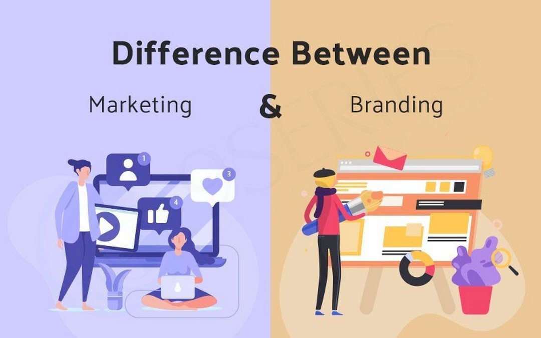 Tầm quan trọng của Trade Marketing và Brand Marketing